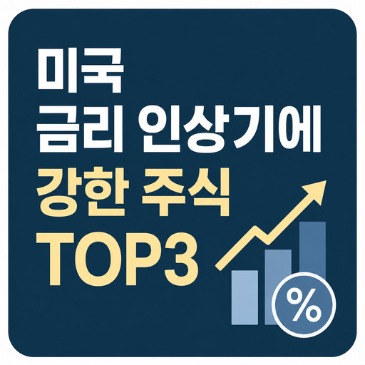 미국-금리-인상기에-강한-주식-TOP3.jpg